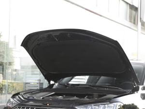 2021款2.0T 两驱特浓版 发动机舱隔音棉