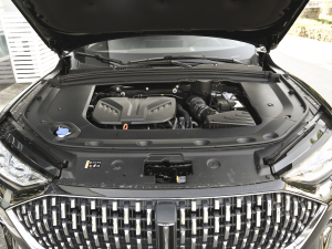2021款2.0T 两驱特浓版 发动机