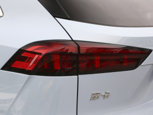 2021款2.0T 四驱特浓版 尾灯
