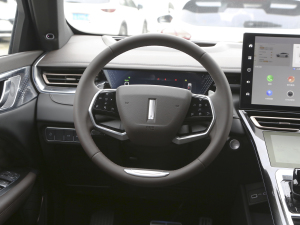 2021款2.0T 四驱特浓版 方向盘