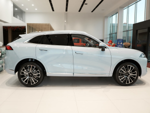 2021款2.0T 两驱NOH智慧领航版 正侧（右）