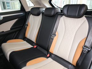 2021款1.5L DHT大师版 空间座椅