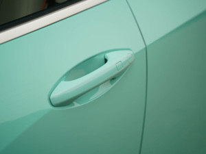 2021款1.5L DHT大师版 主驾门拉手