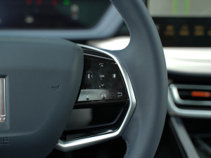 20211.5L DHT󎟰 п؅^(q)