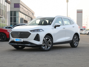 2021款1.5L DHT特调版 左前45度