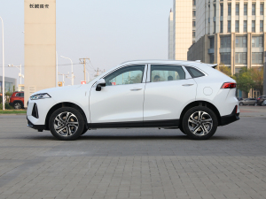 2021款1.5L DHT特调版 正侧（左）