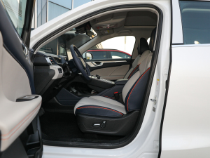 2021款1.5L DHT特调版 前排空间