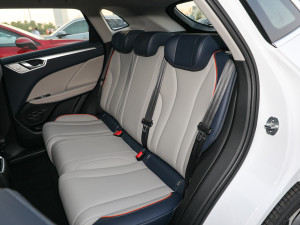 2021款1.5L DHT特调版 后排座椅
