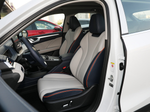 2021款1.5L DHT特调版 主驾驶座椅