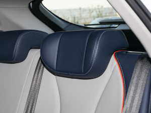 20211.5L DHT{(dio) g