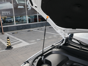 2021款1.5L DHT特调版 其它