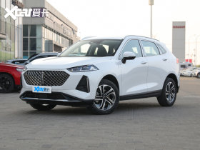 2021����DHT 