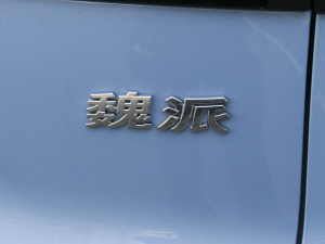 2021款1.5L DHT-PHEV 特调版  细节外观