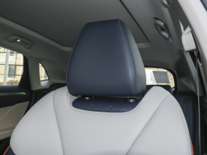 20211.5L DHT-PHEV {  g