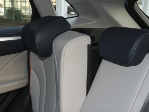 20211.5L DHT-PHEV {  g