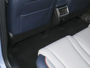 20211.5L DHT-PHEV {  g