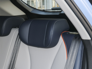 20211.5L DHT-PHEV {  g