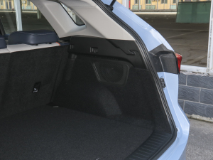 20211.5L DHT-PHEV {(dio)  g