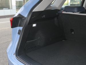 20211.5L DHT-PHEV {(dio)  g