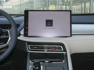 2021款1.5L DHT-PHEV 特调版  中控台