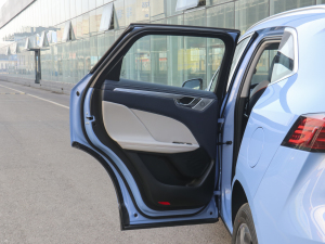 2021款1.5L DHT-PHEV 特调版  左后车门