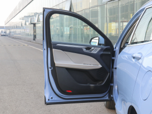 2021款1.5L DHT-PHEV 特调版  驾驶位车门