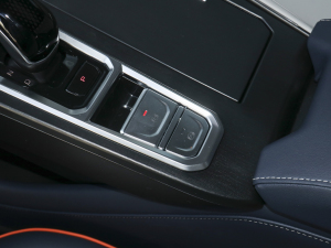 2021款1.5L DHT-PHEV 特调版  驻车制动器