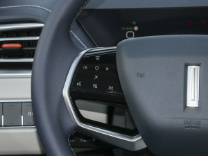 2021款1.5L DHT-PHEV 特调版  音响调节