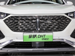 20221.5T (q) оW(wng)