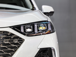 20221.5T (q) (x)(ji)^(gun)