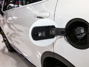 20221.5T (q) (x)(ji)^