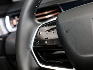 20221.5T (q) п؅^(q)