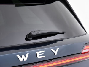 2023DHT-PHEV (q)Lm(x) (ji)^