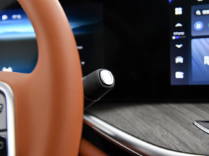 2023款DHT-PHEV 四驱长续航版 驻车制动器