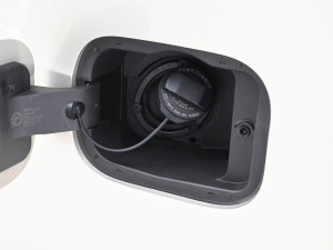 2024������������L�� �������^