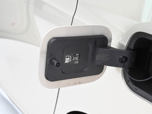 2024������������L�� �������^