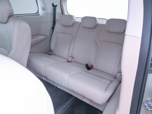 2024�����(q��)�������L(zh��ng)�� ���g����