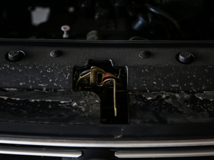 2019M5L 1.6L քӘ˜ 7 VI 