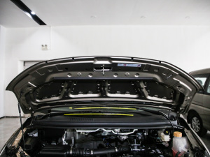2020款M5 1.6L 手动长轴舒适型 7座 其它