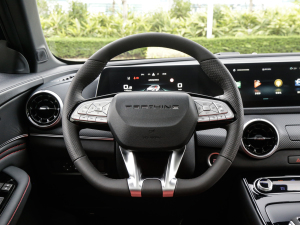 2021款1.5T DCT星耀版 方向盘