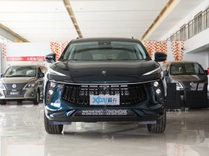 2021款1.5T DCT钻石版 正前