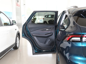 2021款1.5T DCT钻石版 左后车门