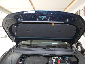2021款1.5T DCT钻石版 其它