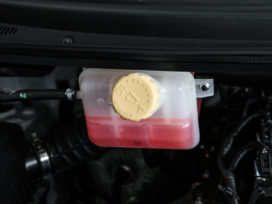 2021款2.0L 手动豪华型 7座 其它