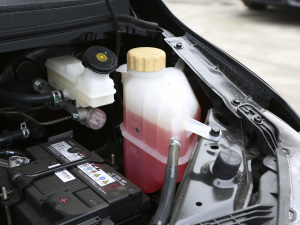 2021款M5L 2.0L 手动实用型 7座 其它