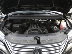 2022款M5L 2.0L 实用型 7座 发动机