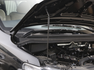 2022款M5L 2.0L 实用型 7座 其它
