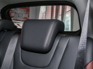 2022ʢ 1.6L ք(dng)(mng) g