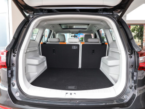 2022Rհ 1.5T DCTȼ  g