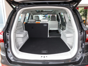 2022Rհ 1.5T DCTȼ  g